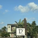 제주다모르 이미지