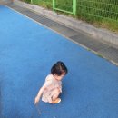 인천성지초등학교 이미지