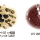 박달나무한의원 이미지