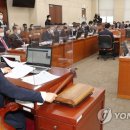 서영교 카카오 검색결과