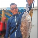 말봉바다낚시터 이미지