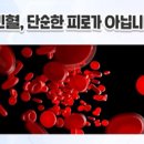 세이 이미지