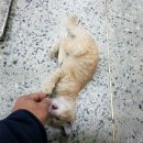 구봉낚시터 이미지