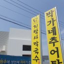 지박사막국수(무실점) | 지박사막국수 무실점 후기