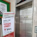 화명금화 이미지