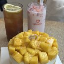 이태연농장 | 마곡망고케이크 추천 찐으로 맛있는 프리미엄 프레베리 마곡케이크
