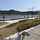 38kg 리트리버랑 다녀온 고성,속초,양양 대형견동반 가능한 곳 후기