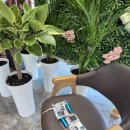 순천미래과학고등학교 이미지