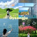 2박 3일 경주여행 코스 일정 공유 숙소추천