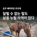 공주 폐마목장 추모제 참가신청 받습니다. 이미지