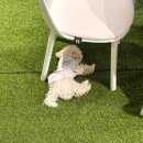 블루체육교실 | 부산 블루풋살 아카데미 방문 후기, 기장 초등 1학년 아이 축구교실 분위기 보러 갔다가 너무 만족했어요!