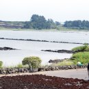 창흥동해수욕장 이미지