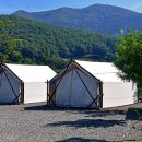 영학농장 | [경상남도 창원시] 영학관광농원야영장