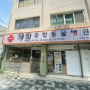 아라종합동물병원 | [주안동물병원] 아라종합동물병원 외이염 습진 치료 다녀온 후기