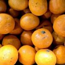 다온푸드 이미지