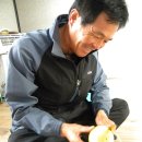 김종출농장 이미지