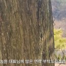 태림농원 이미지