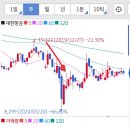 서울레저항공㈜ | 대한항공 기업분석