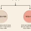 인천가현초등학교 이미지