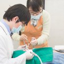 공감치과기공소 이미지