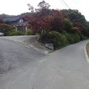 이시백 신도비 이미지