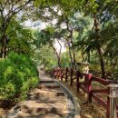 대성어린이집(구나이팅게일어린이집) | [임장후기] 대치삼성래미안(ft. 대치동학원가, 단대부고, 단대부중, 대치SK뷰, 래미안대치팰리스)