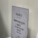 웰니스동물병원 스타필드 고양 이미지