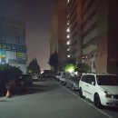 연세강산태권도 이미지