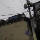 사파동114 이미지