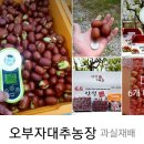 명광농장 이미지