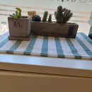 라즈쿠쿠 이미지