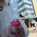 양양이 없는 양양여행 후기 ('26.06.13~14) (1)