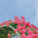 5월29일 목요일 서부경남방출석부 이미지