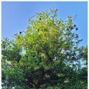 이고농산 이미지