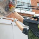 ‘로봇 팔’ 입자… 40㎏ 쓰레기도 가볍게 집어 던졌다 이미지