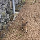 월정브리즈 이미지