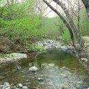 곰배령식당 이미지