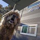 들어오시개 이미지