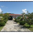 한가로이민박 이미지