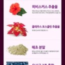 황후피부샾