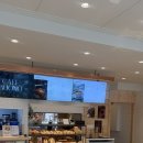 부오노카페