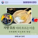 생명의 근원 休 | 차향(茶香) 따라 흐르는 마음 ㅡ 우라센케 다도와의 만남🍵🌿