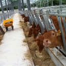 문일농장 이미지