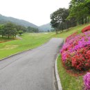 오크밸리골프장 이미지