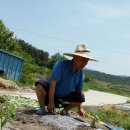 내고향집 이미지