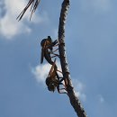 달의 정원 이미지