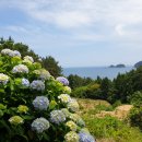 어반스케치 여행수채화 이미지