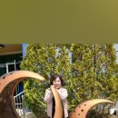 이 사람을 공개 수배합니다~ 이미지