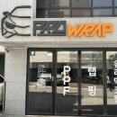 프로썬루프 | 강남 랩핑 발수코팅 & 디테일링 전문샵 프로랩 모델3 퍼포먼스 썬루프전용 열차단 PPF 후기