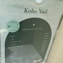 코호네일